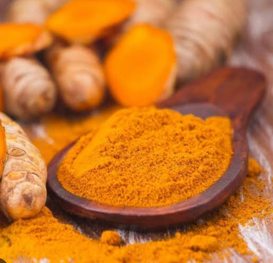 Turmeric and your Dog