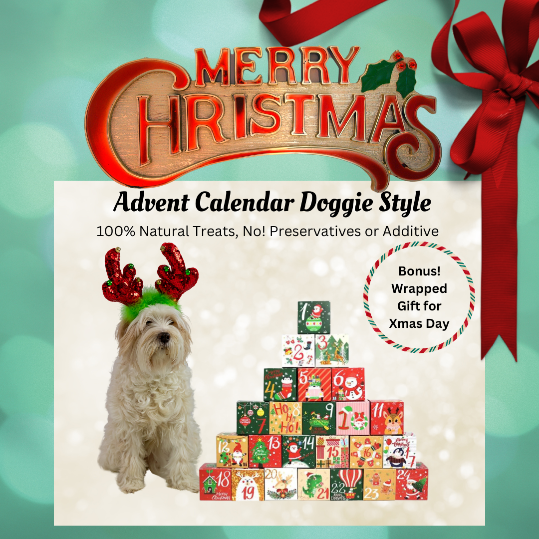 2024 Christmas Dog Advent Calendar